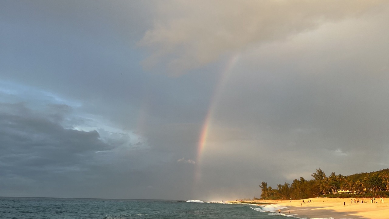 Photo of Others in Pupukea