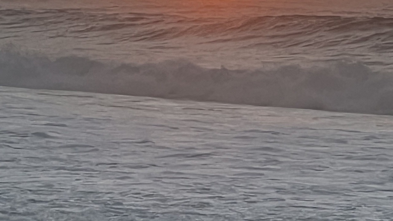 Photo of Others in Pupukea