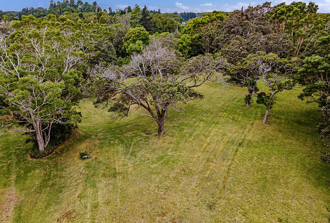 Photo of Others in Royal Hawaiian Estates