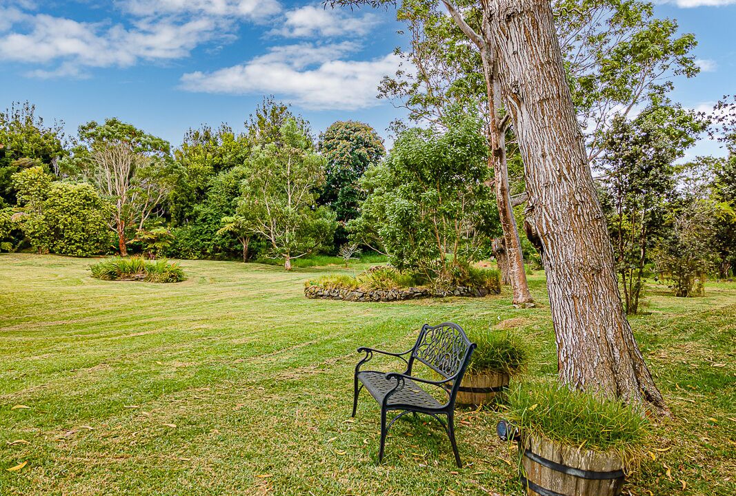 Photo of Outdoor in Royal Hawaiian Estates