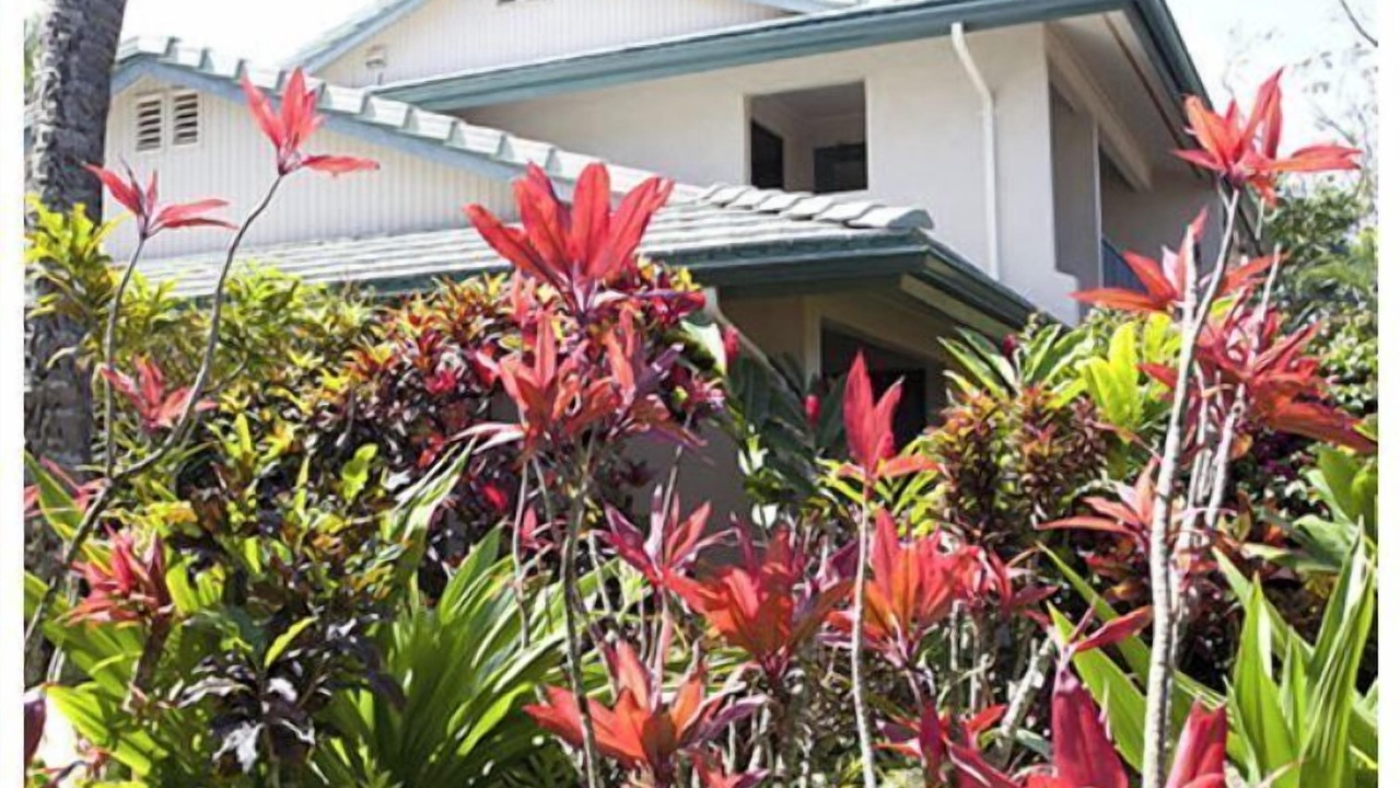 Photo of Outdoor in Napili