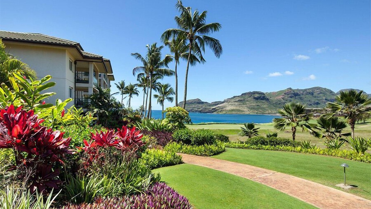 Photo of Others in Lihue