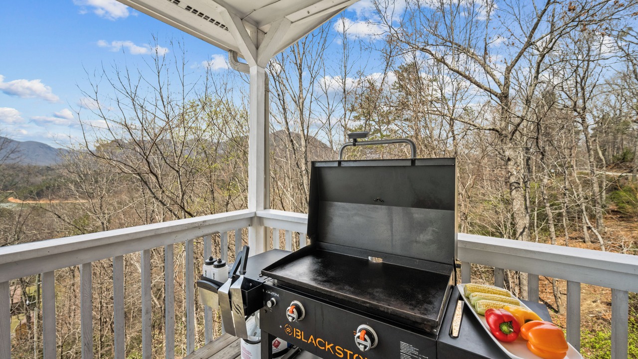 Photo of Outdoor in Lake Lure