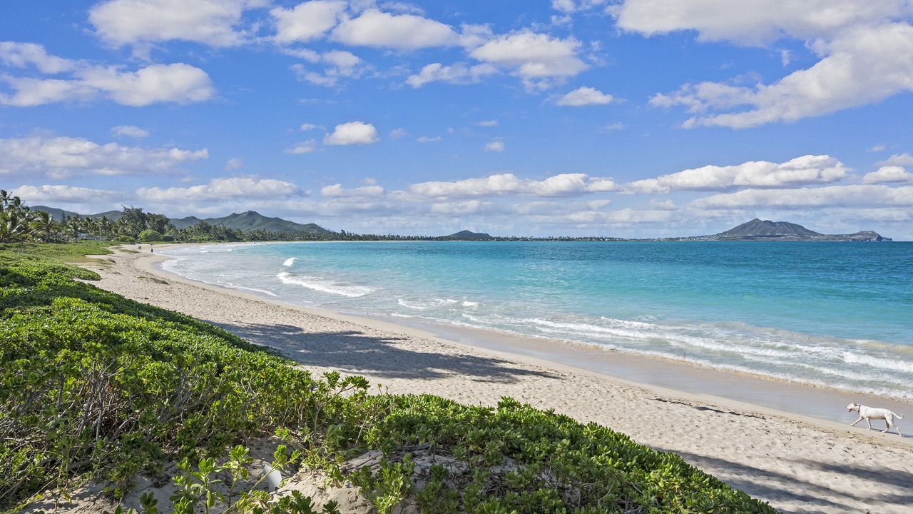 Photo of Others in Kailua