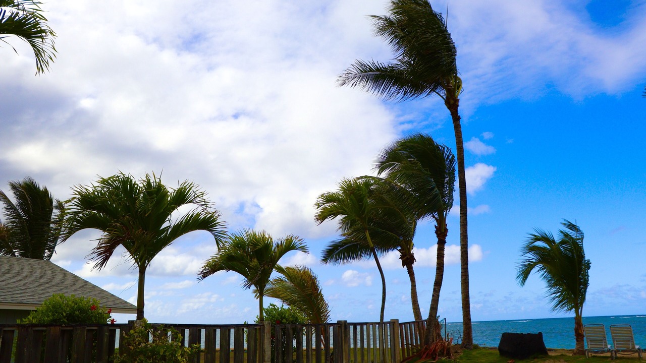 Photo of Outdoor in Punaluu