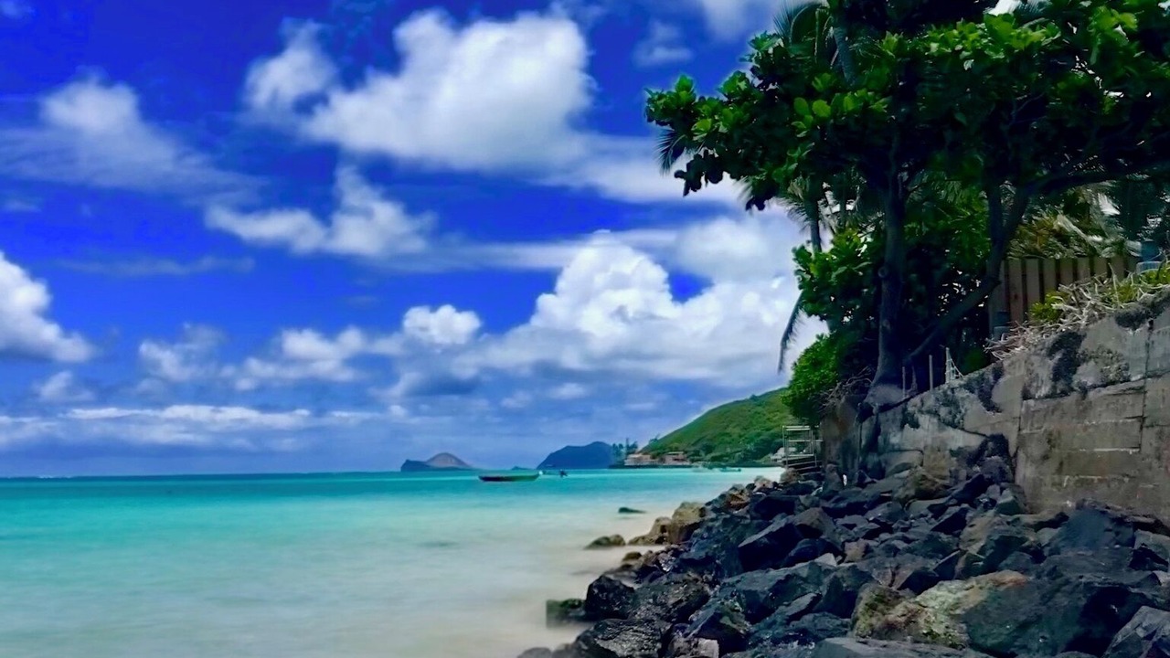 Photo of Others in Kailua