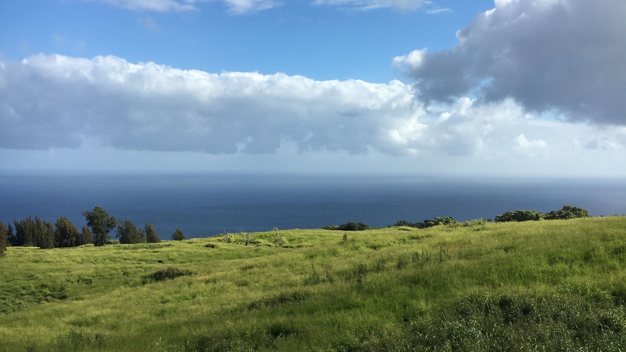 Photo of Others in Kukuihaele
