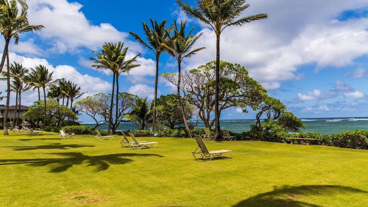Photo of Others in Wailua