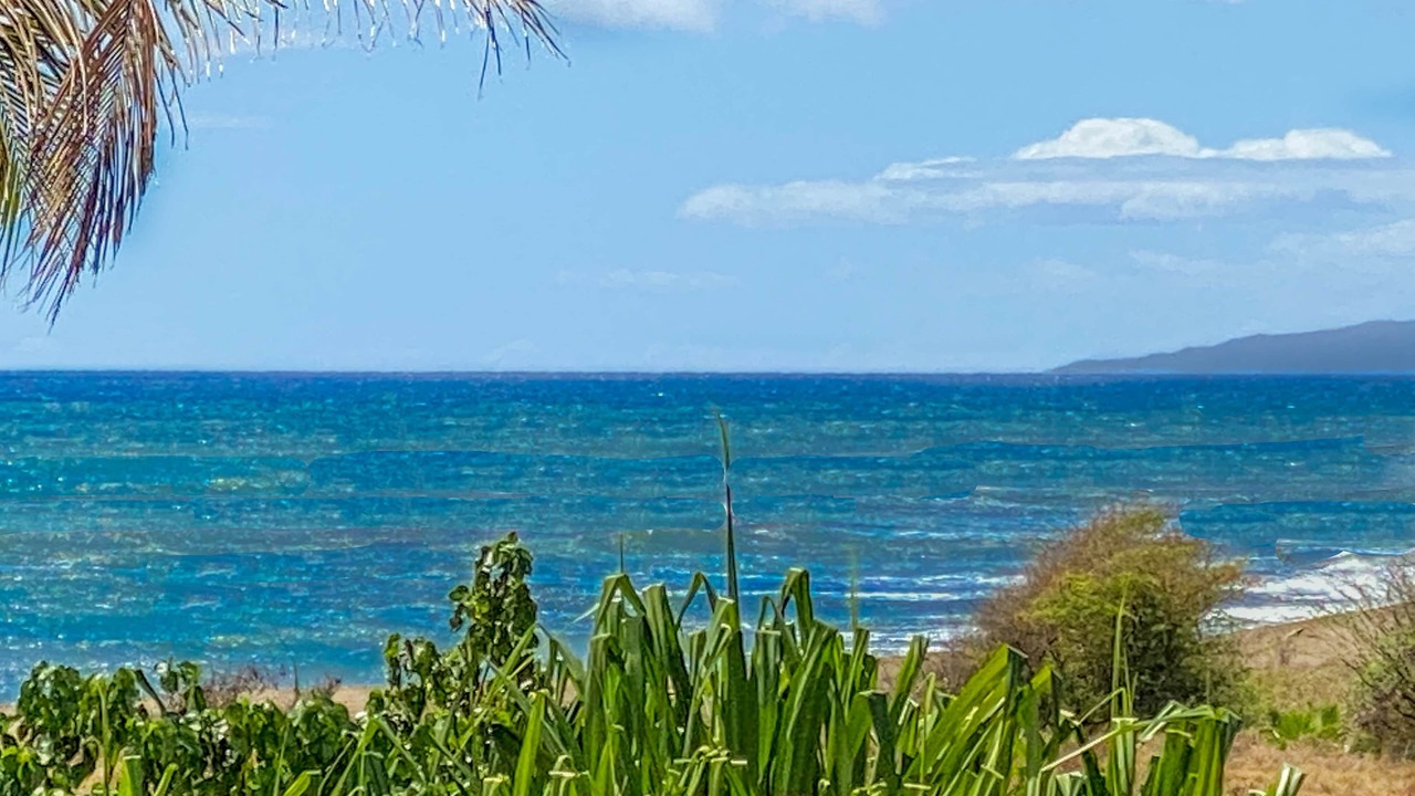Photo of Others in Kekaha