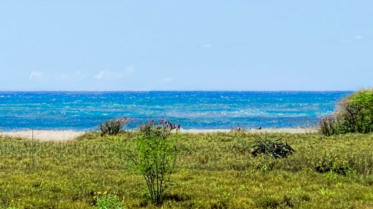 Photo of Others in Kekaha