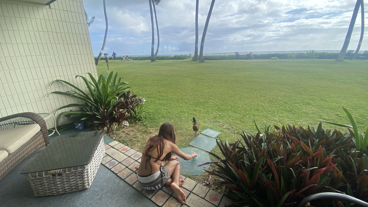 Photo of Outdoor in Punaluu