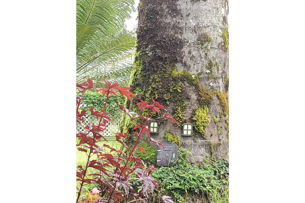 Photo of Outdoor in Fern Acres