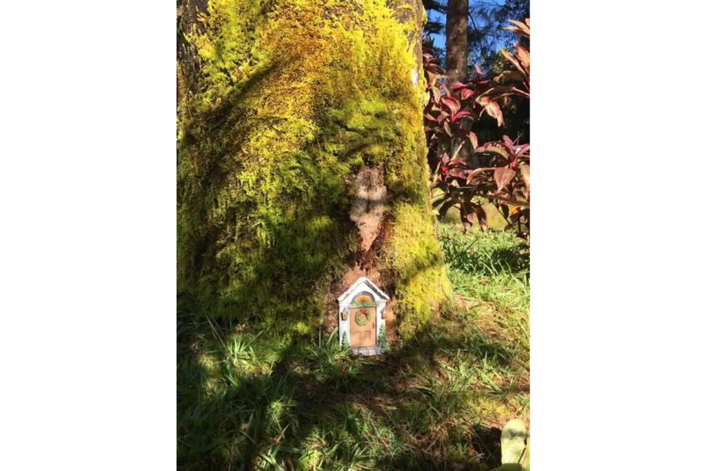 Photo of Outdoor in Fern Acres