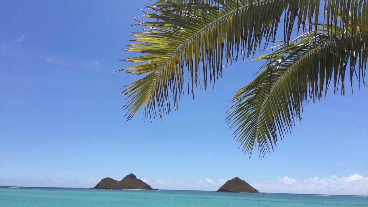 Photo of Others in Kailua