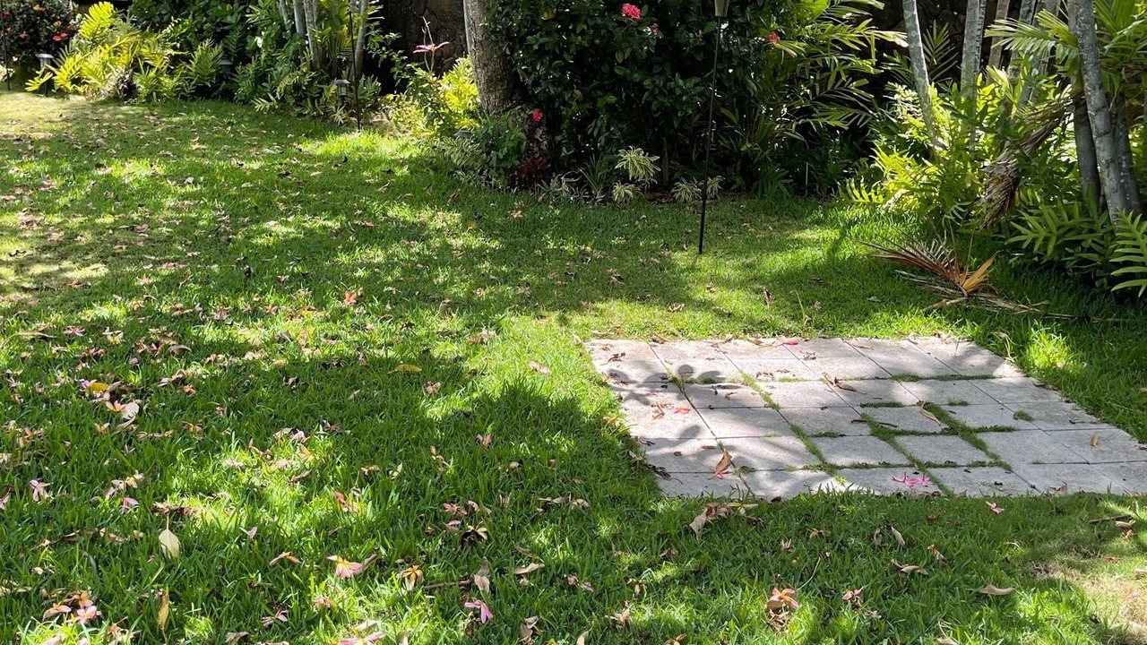 Photo of Outdoor in Kailua