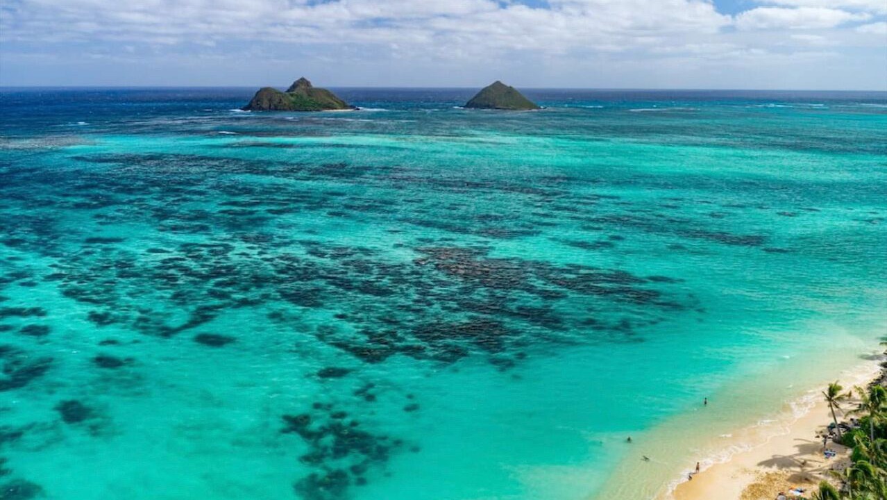 Photo of Others in Kailua