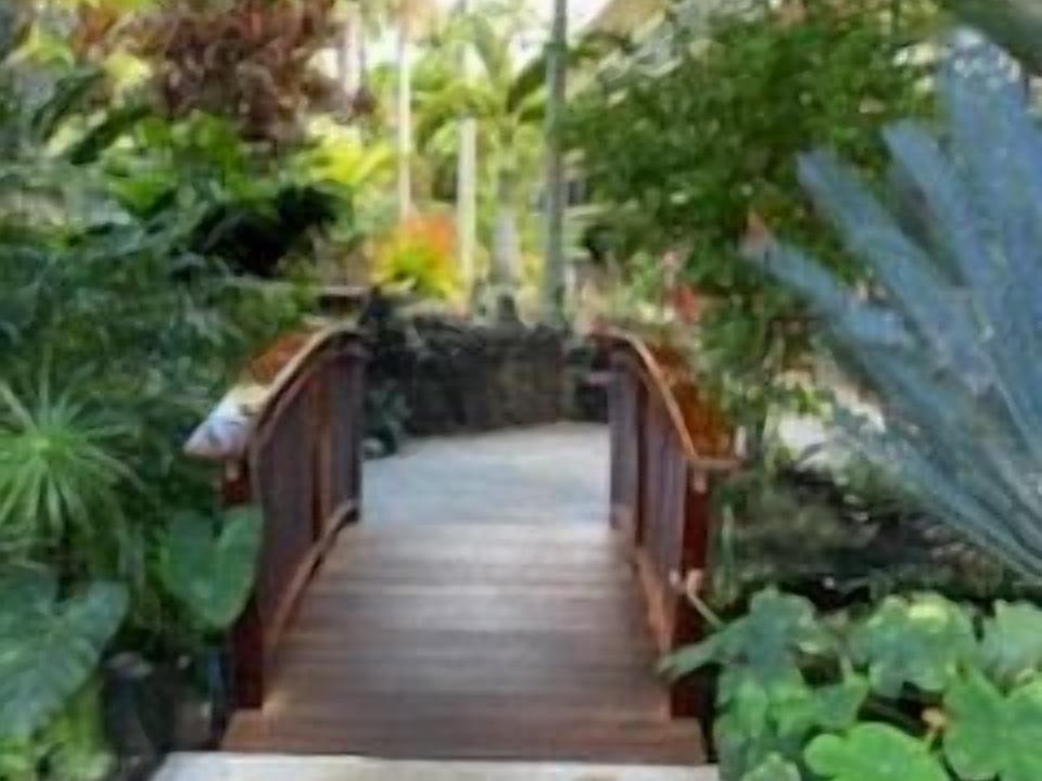 Photo of Outdoor in Koloa