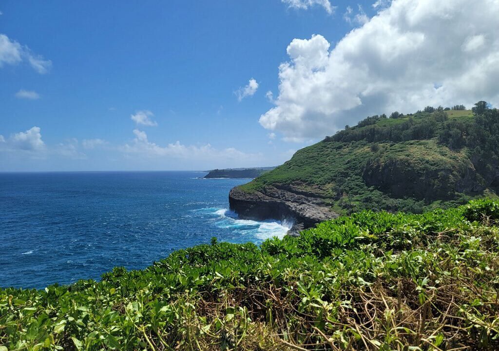 Photo of Outdoor in Koloa