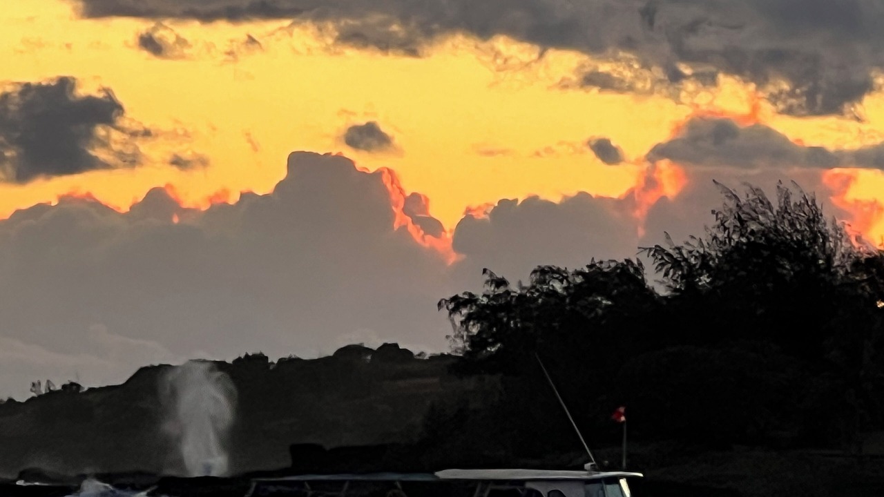 Photo of Others in Koloa