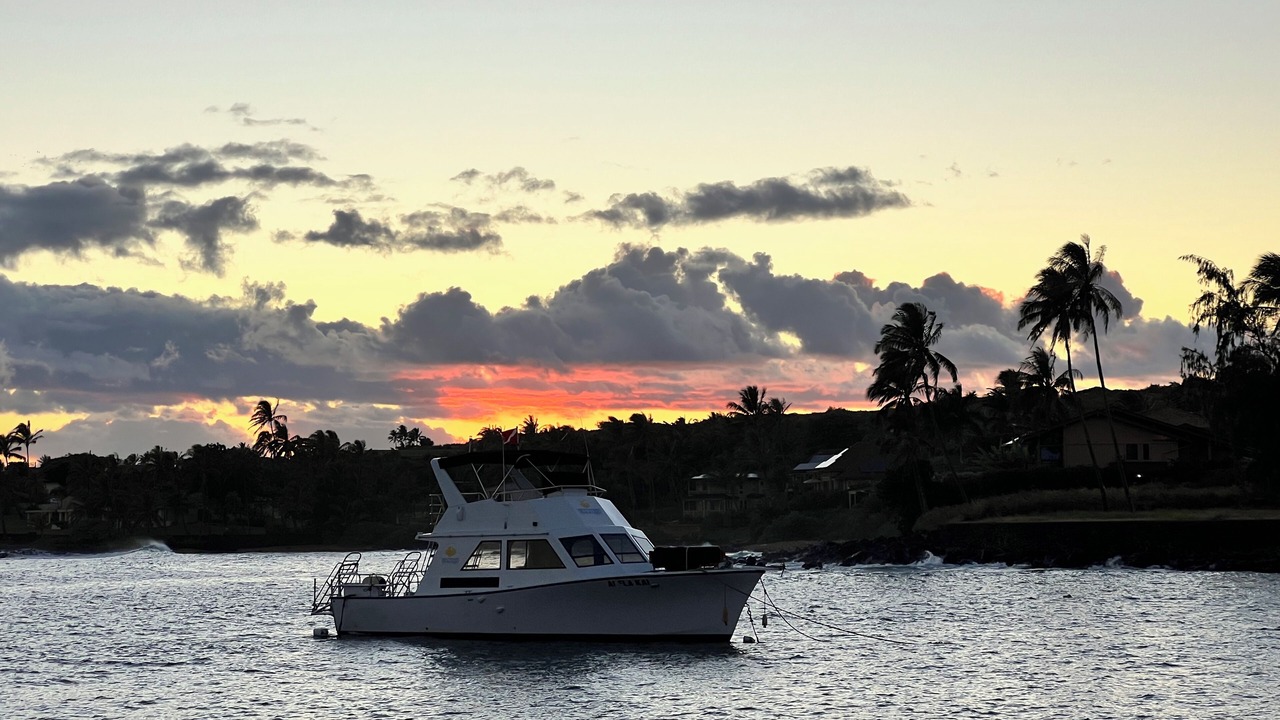 Photo of Others in Koloa