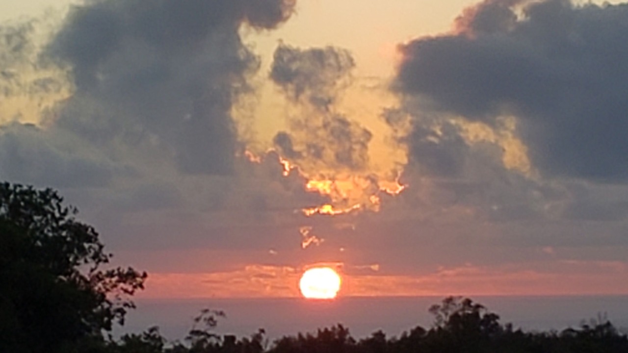 Photo of Others in Hilo