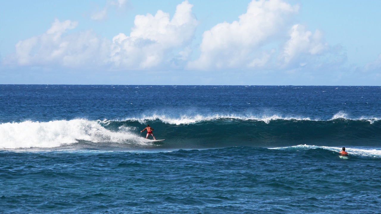 Photo of Others in Poipu