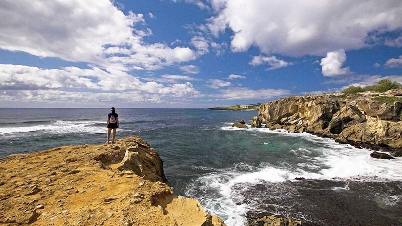 Photo of Others in Poipu