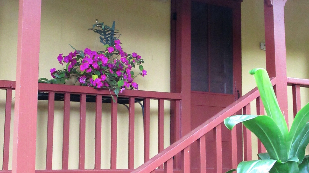 Photo of Outdoor in Honokaa
