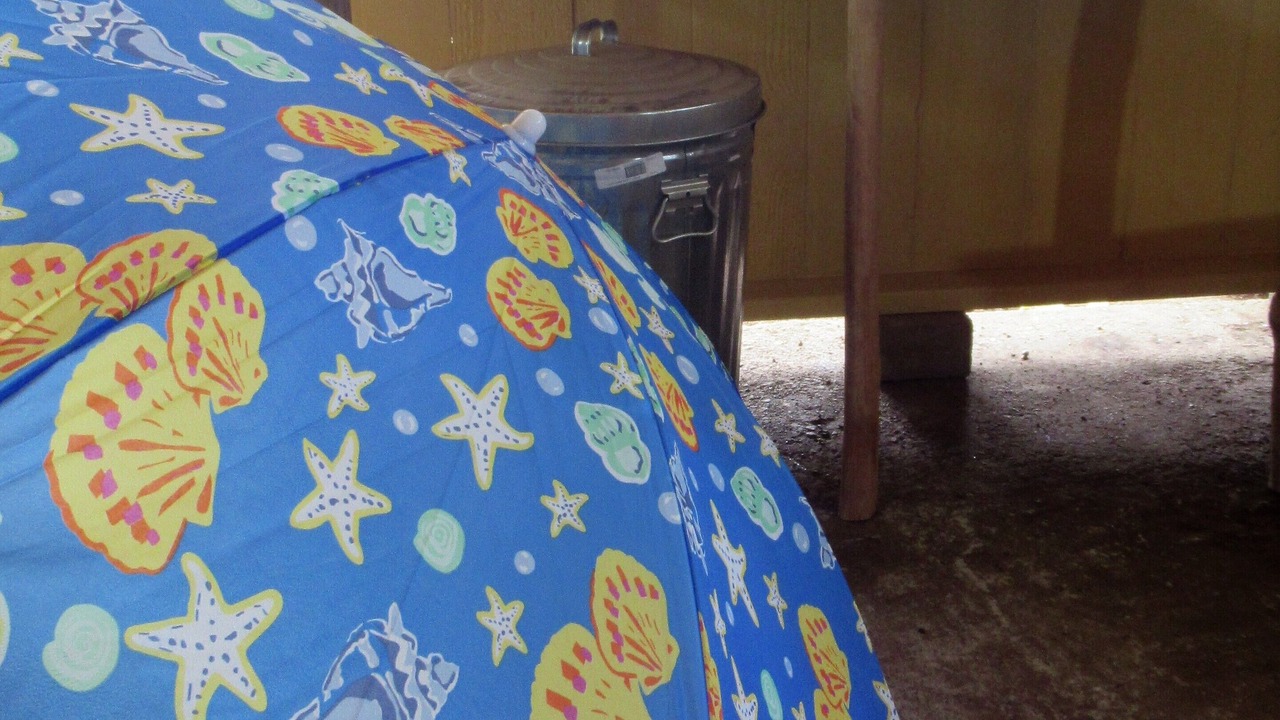 Photo of Bedroom in Honokaa
