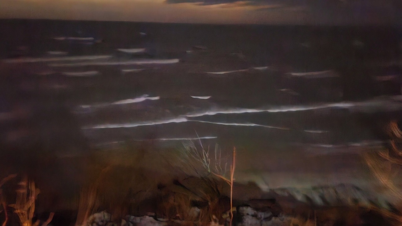 Photo of Others in South Haven