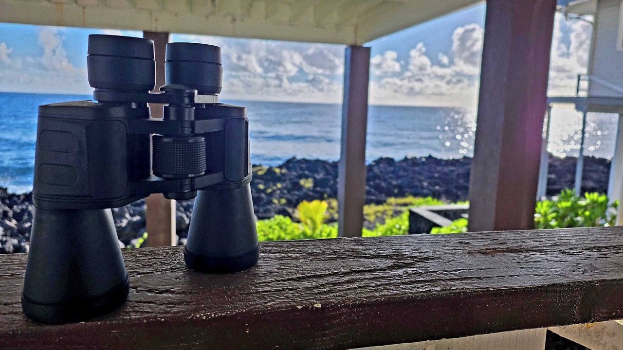 Photo of Others in Kapoho