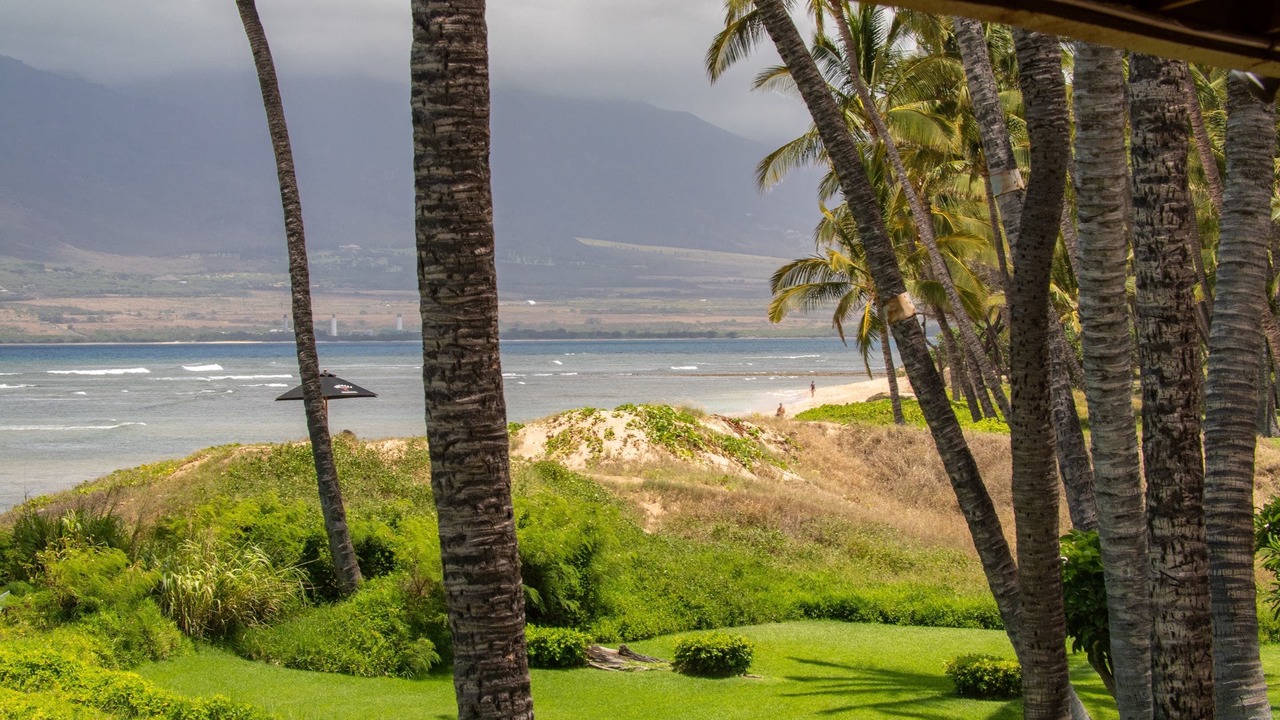 Photo of Others in Kihei