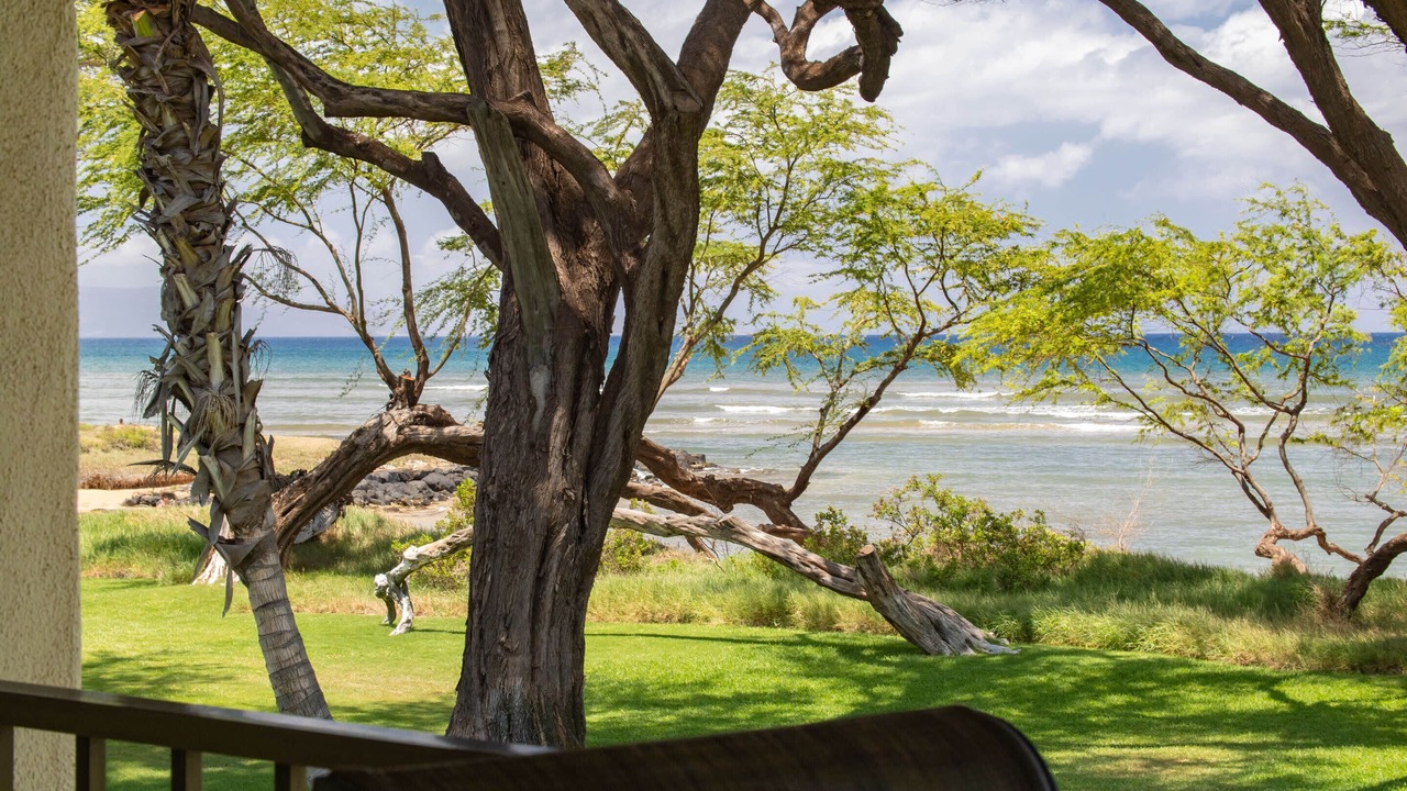 Photo of Outdoor in Kihei