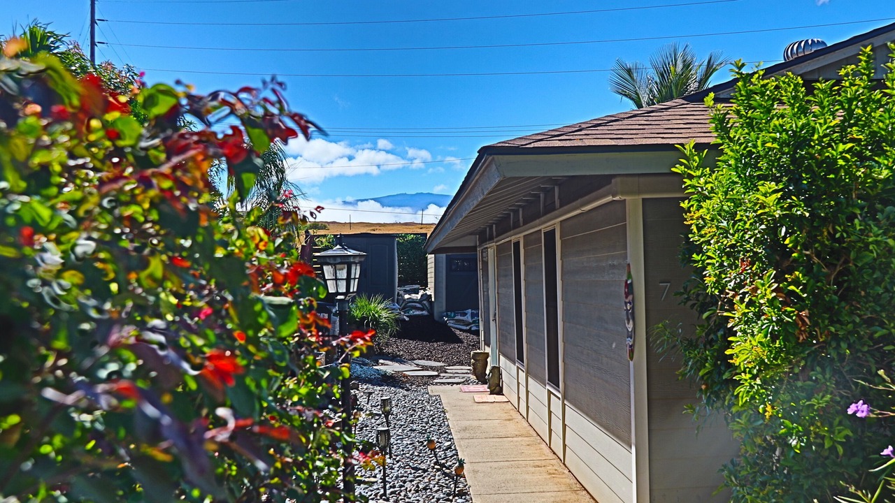 Photo of Outdoor in Kamuela