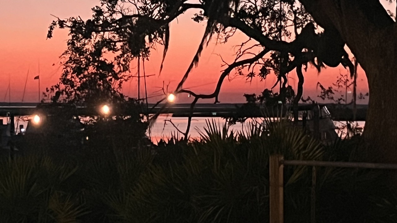 Photo of Outdoor in Jekyll Island