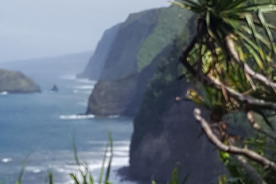 Photo of Others in Waikoloa Village