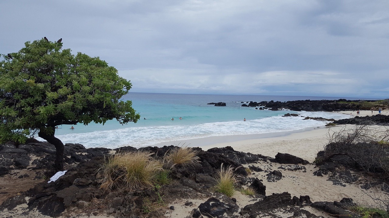 Photo of Others in Waikoloa Village