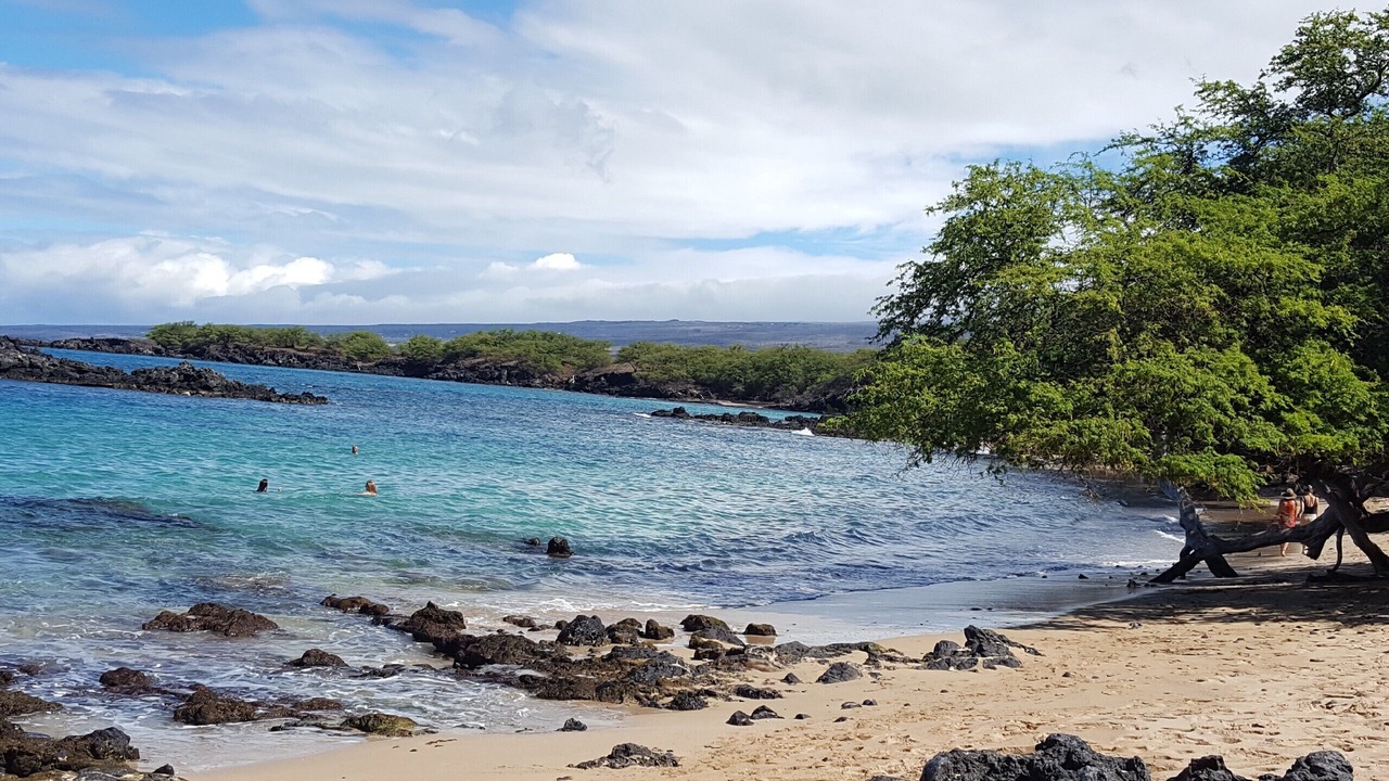 Photo of Others in Waikoloa Village