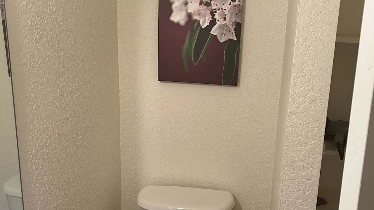 Photo of Bathroom in Bat Cave