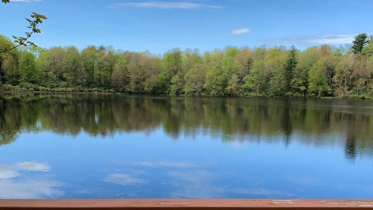Photo of Others in Lake Harmony