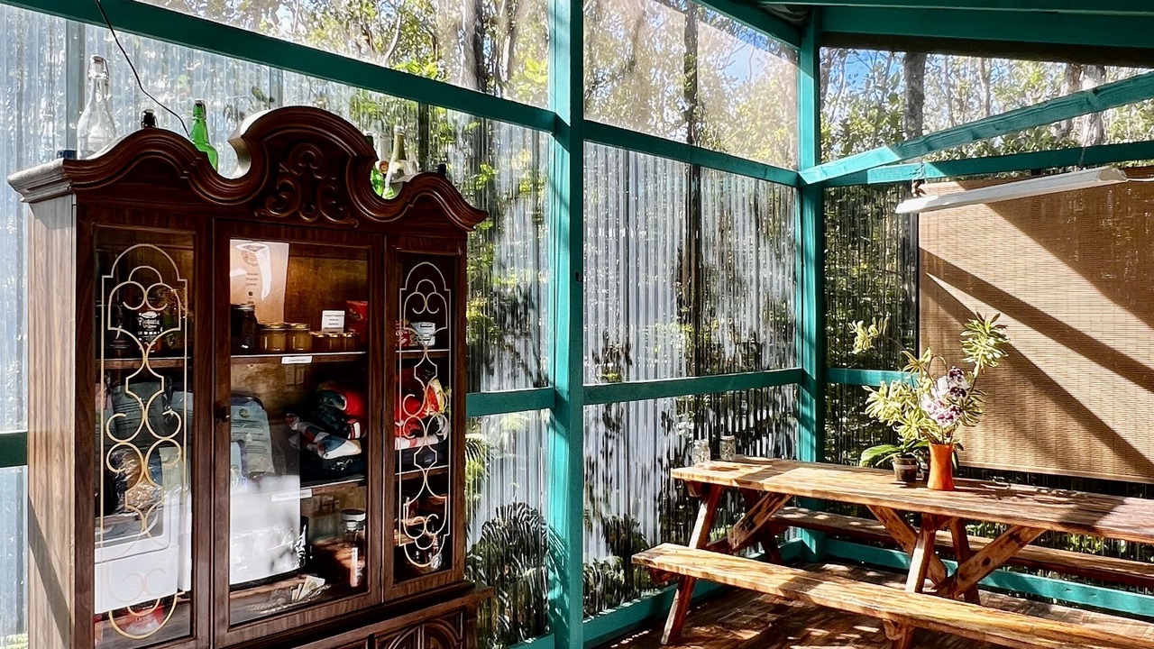 Photo of Outdoor in Fern Forest