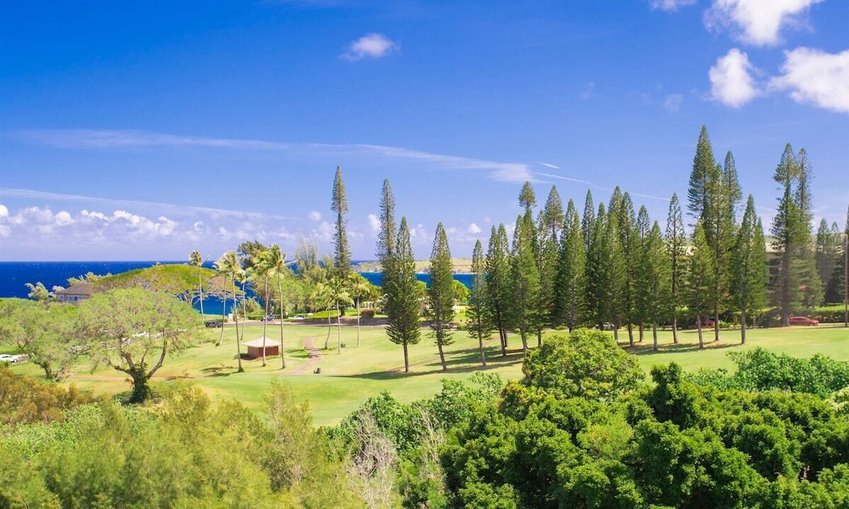 Photo of Others in Kapalua