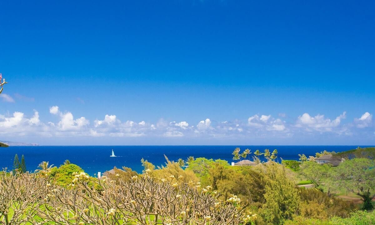 Photo of Others in Kapalua
