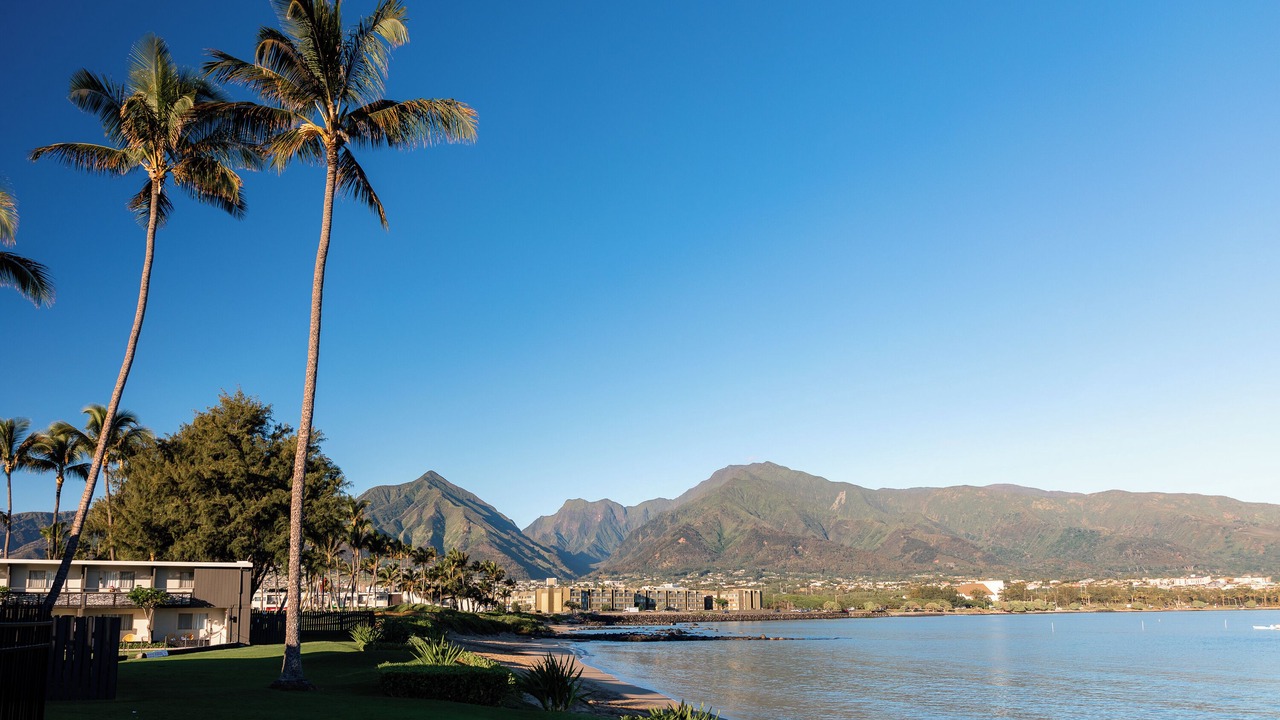 Photo of Others in Kahului