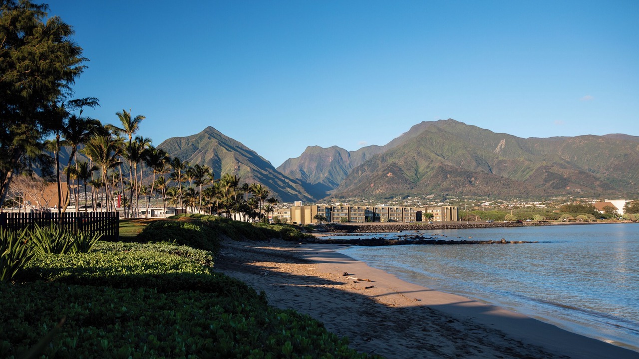 Photo of Others in Kahului