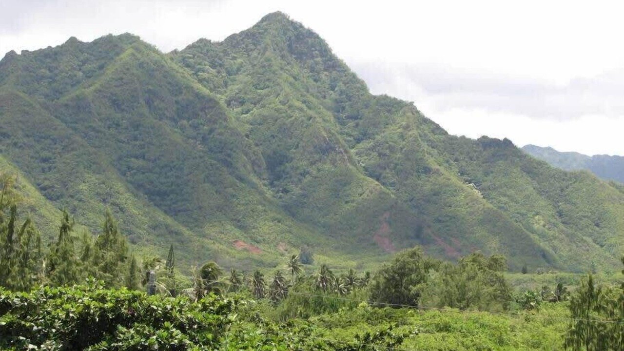 Photo of Others in Punaluu