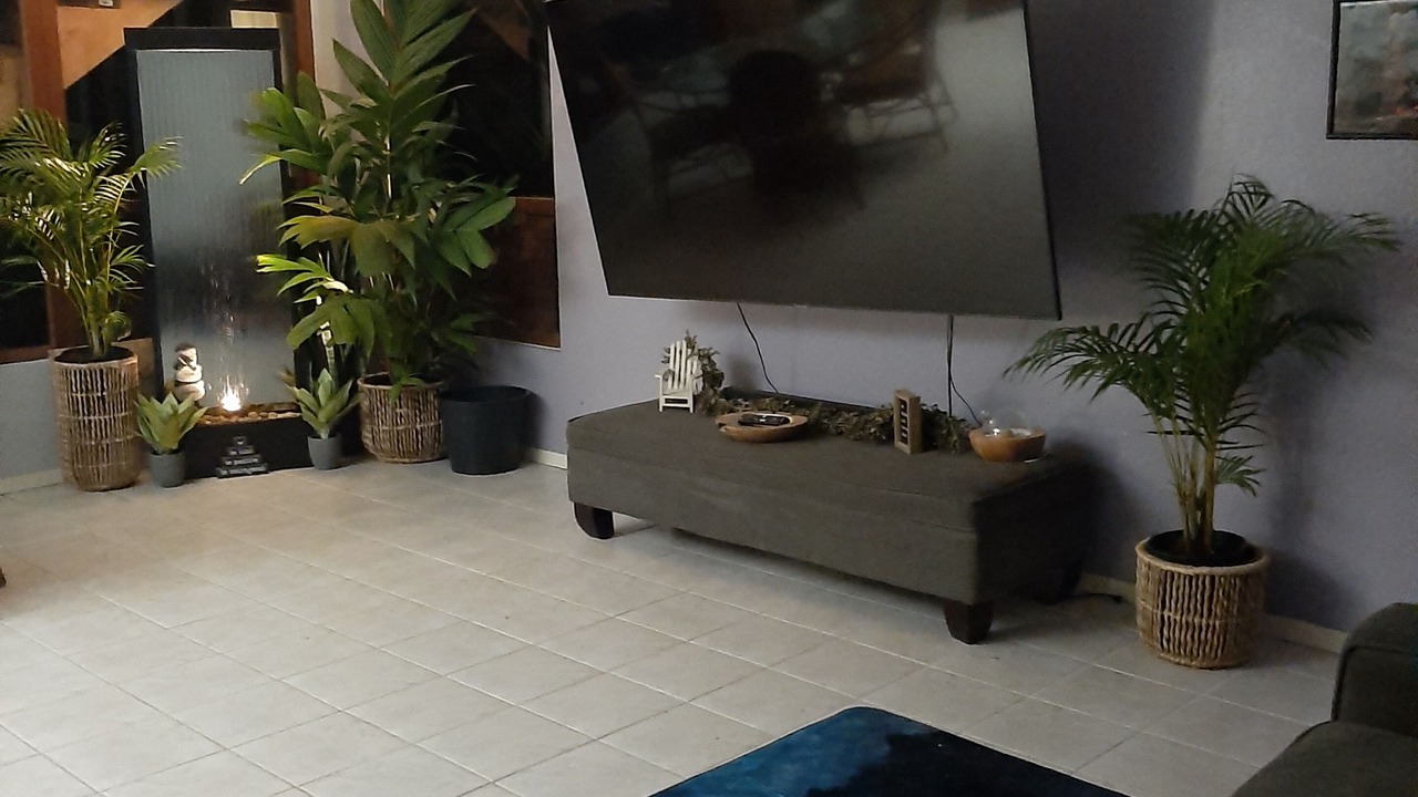 Photo of Livingroom in Kapoho