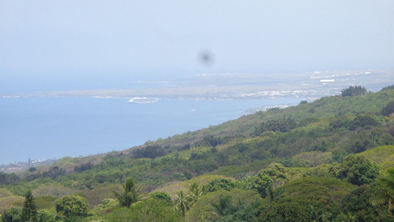 Photo of Others in Kealakekua