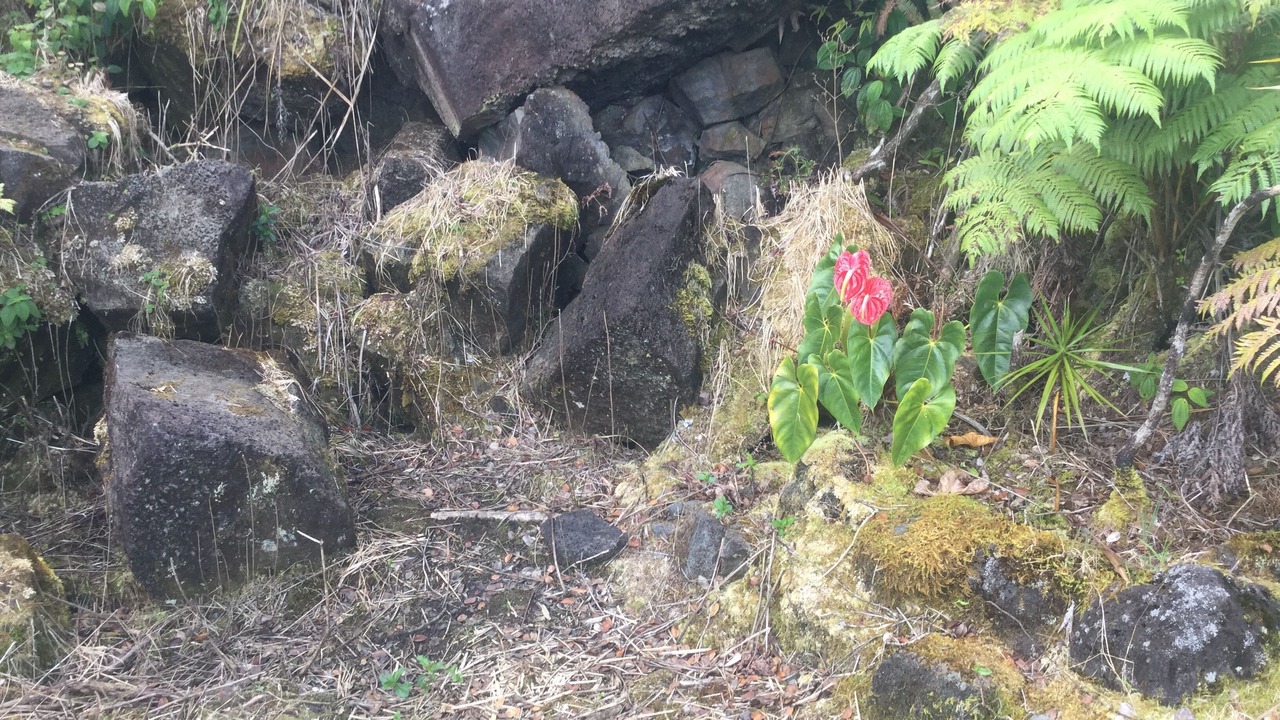 Photo of Outdoor in Mountain View