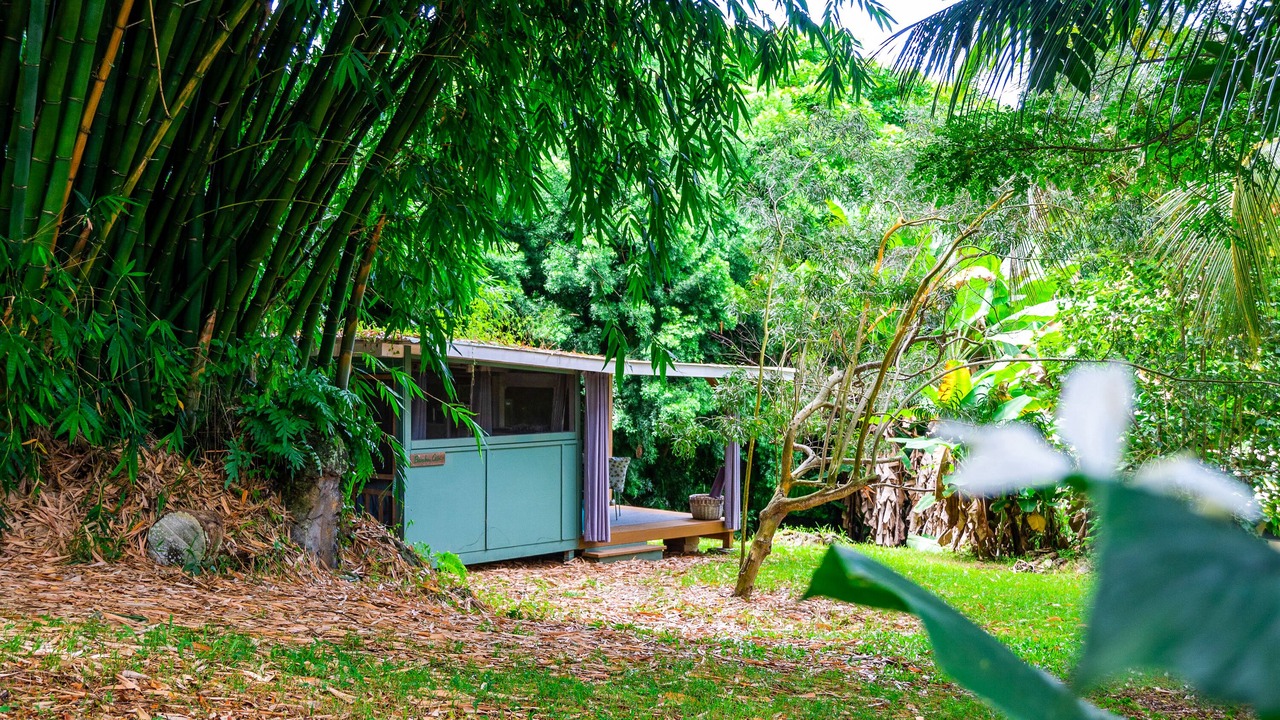 Photo of Outdoor in Kealakekua